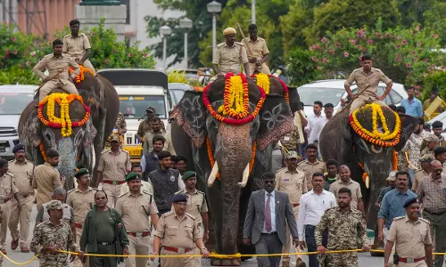 Karnataka Hands Over Six Kumki Elephants to AP