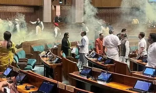 Parliament Security Breach: Grounds Of Arrest Given To Accused, Police To Delhi HC