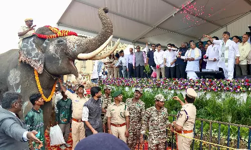 Tamed Elephant Handed Over To Andhra Pradesh To Deal With Man-Elephant Conflict Tamed Elephant Handed Over To Andhra Pradesh To Deal With Man-Elephant Conflict