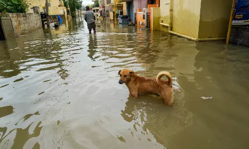 Bengaluru: BJP MLA Offers to Quit if Flooding is Not Prevented in Sai Layout By Monsoon