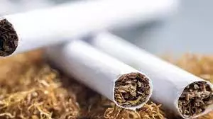 Tobacco Procured Every May: Minister