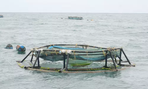 Artificial Reefs Being Built Along Vizag District Coastline Under PMMSY