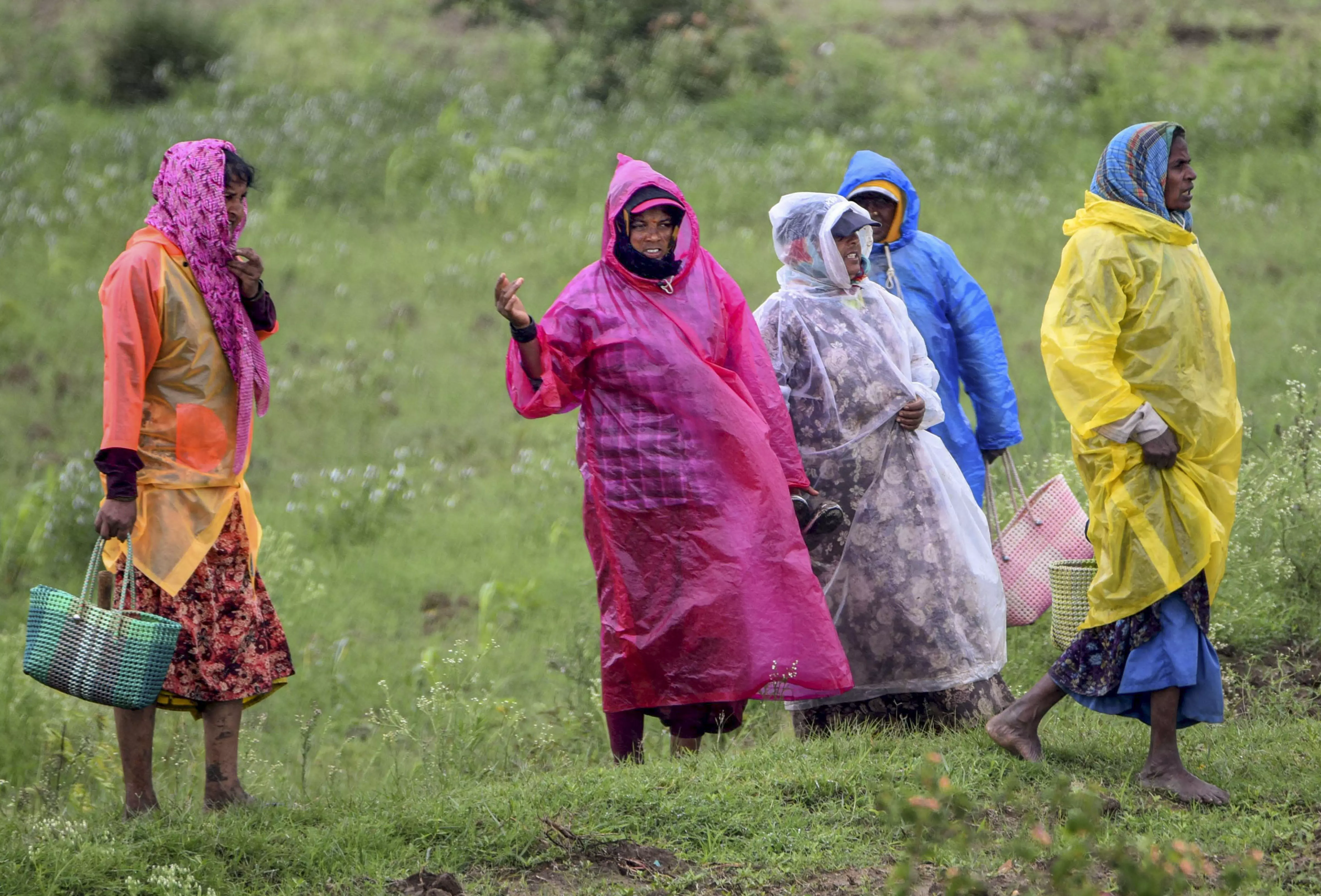 Monsoon’s Earliest Onset in India Since 2009 Boosts Crop Outlook