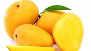 Chittoor Mango Season To Peak From June Onwards