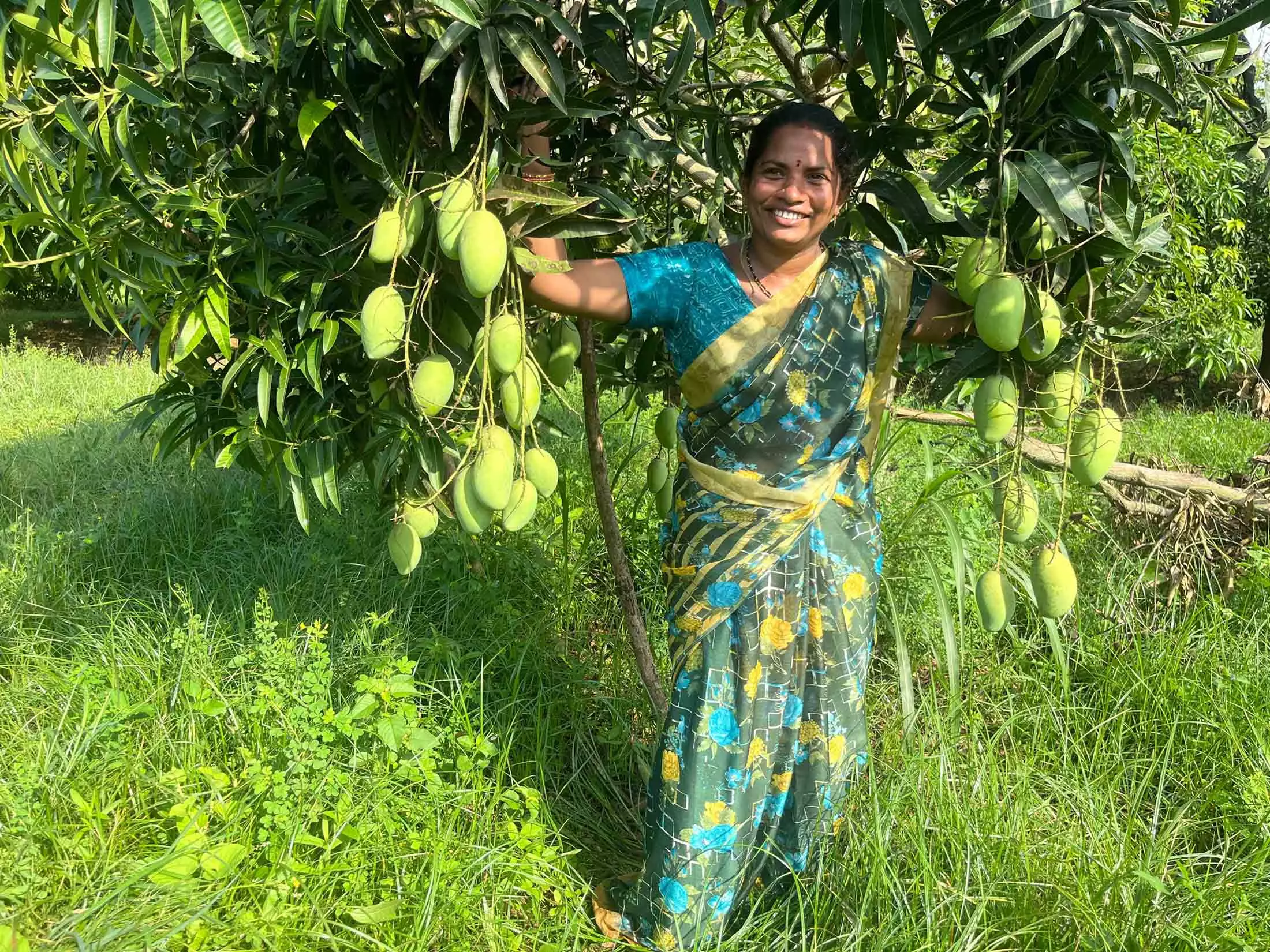 PMDS Under Natural Farming Helps Lakshmi Prasanna Have High Earnings PMDS Under Natural Farming Helps Lakshmi Prasanna Have High Earnings