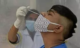 Suspected Covid Deaths In Maharashtra Increase To 4