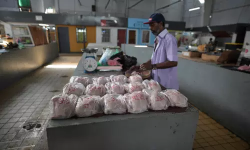 The Power of No: Setting Boundaries for a Balanced Life