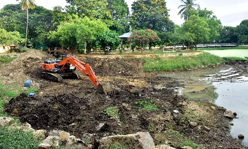 Public Gardens’ Lake to be Restored in June