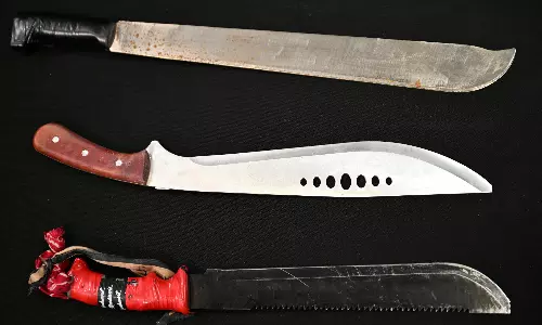 Australian State Plans To Ban Sale Of Machetes Following Violent Gang Fight