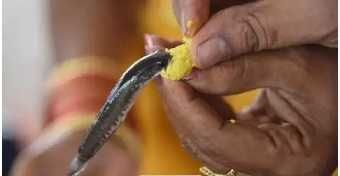 Bathini Family To Distribute Fish Prasadam On June 8, 9 At Nampally Exhibition Grounds