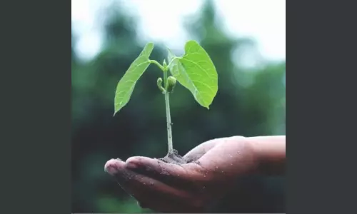 Plant a Tree on Your Birthday Campaign Begins at Tirupati Divyaramam Eco Park