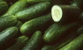 Dozens Sickened In Expanding Salmonella Outbreak Linked To Recalled Cucumbers in US