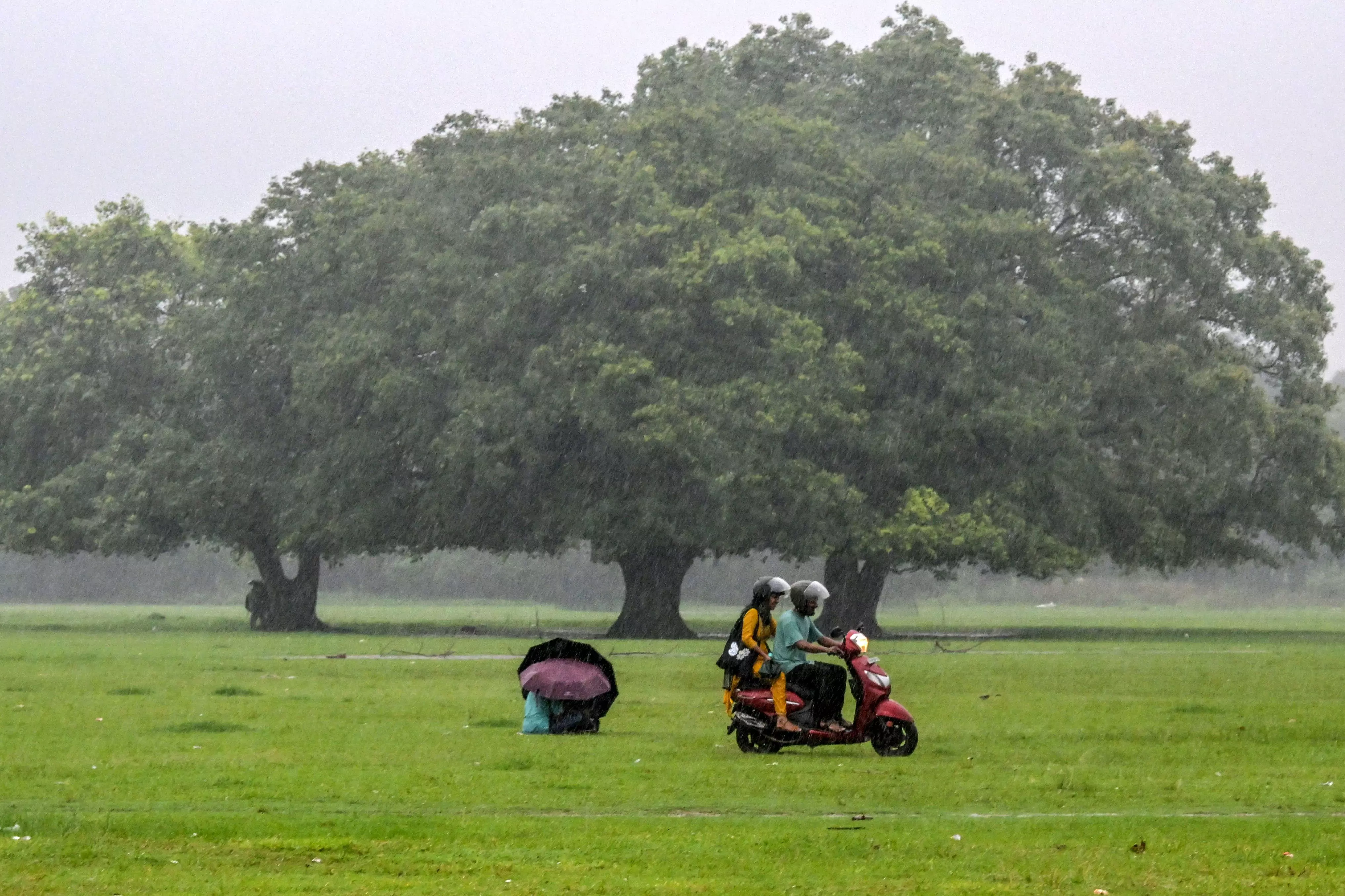 How Does India Benefit From Early, Ample Monsoon Rains?