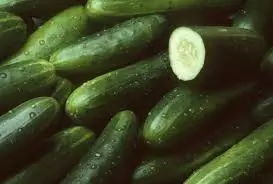 Dozens Sickened In Expanding Salmonella Outbreak Linked To Recalled Cucumbers in US