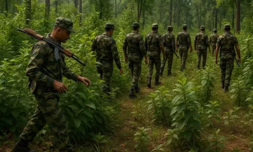 Suspicion Cannot Replace Proof’: Chhattisgarh HC Acquits Two Maoists