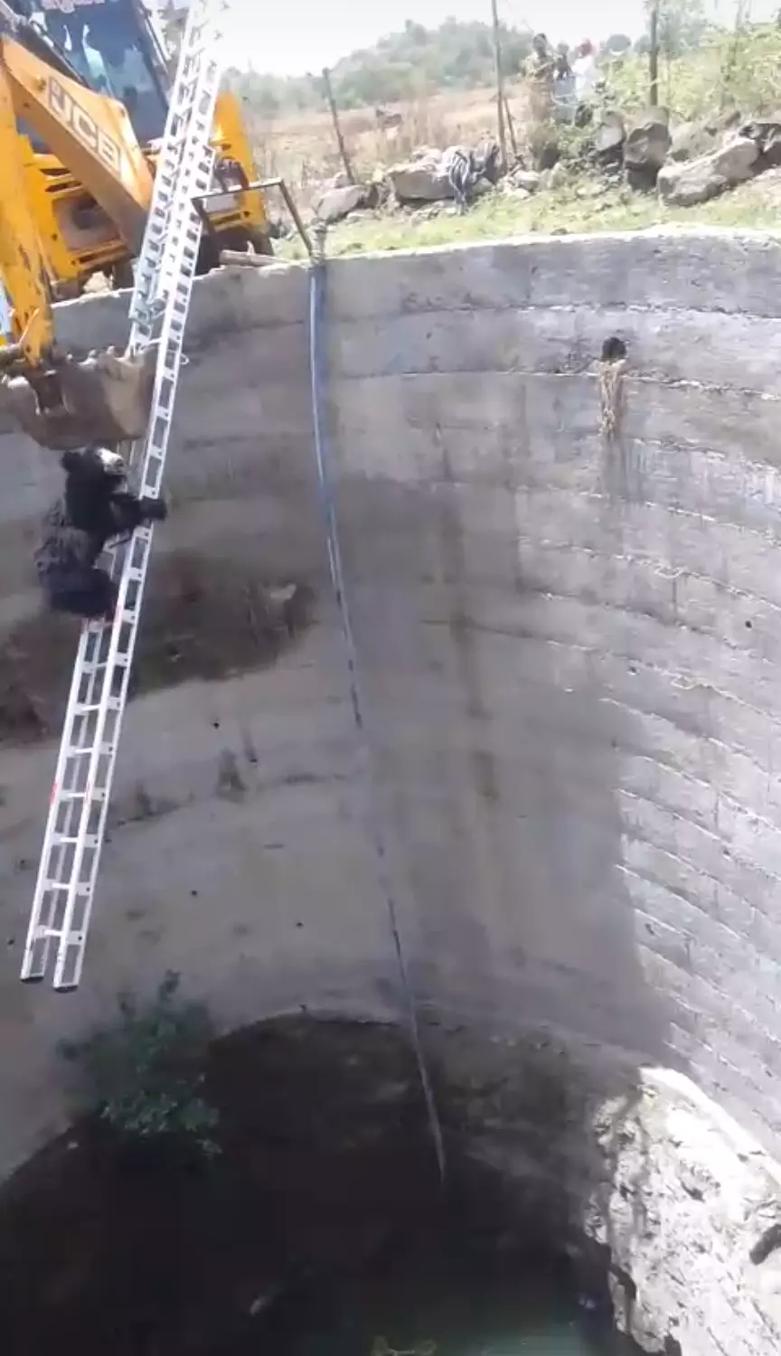 Adilabad: Forest Staff Save Wild Bear From Agricultural Well