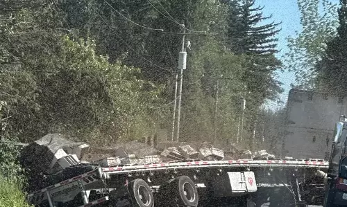 Truck Overturns in Washington, Releasing 250 Million Bees
