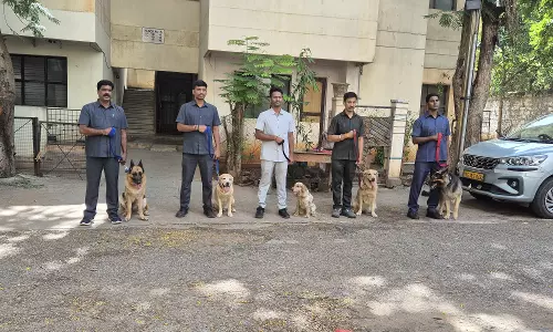 From Bond to Duty: Journey of a Canine