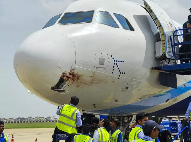 IndiGo Flight Suffers Bird Hit, Makes Emergency Landing at Ranchi Airport