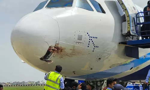 IndiGo Flight Suffers Bird Hit, Makes Emergency Landing at Ranchi Airport