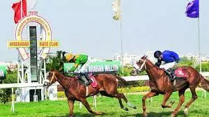 Another Racehorse Dies In Raipura stable