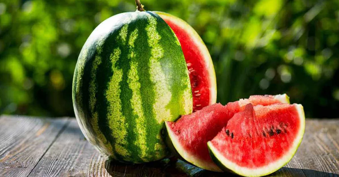 Mumbai: Four of Family Die of Suspected Food Poisoning After Consuming Watermelon