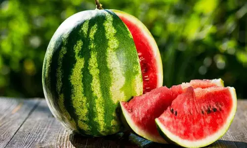 The Red Miracle: How Watermelon Became India’s Summertime Salvation