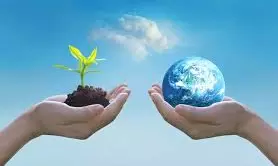 Krishna District Sets Target Of 2.92 Lakh Saplings For World Environment Day