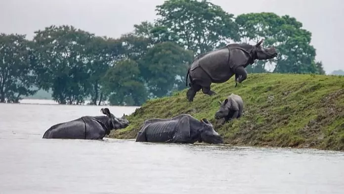 Kaziranga Flood Situation Under Control