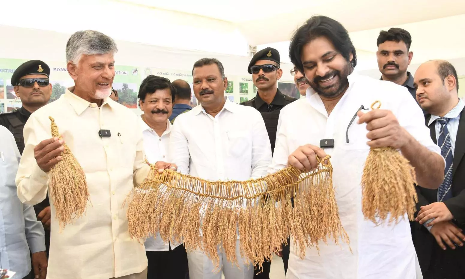 Plant Saplings, Increase Green Cover: Pawan Kalyan