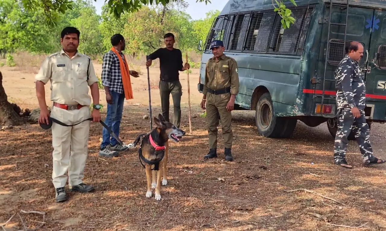 Galileo, MPs Star Sniffer Dog, Helps Nab 91 Poachers in Tiger Reserve