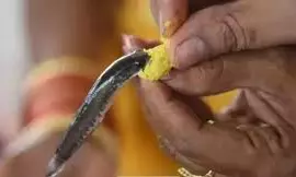 Traffic Diversions for Fish Prasadam Event Traffic Diversions for Fish Prasadam Event