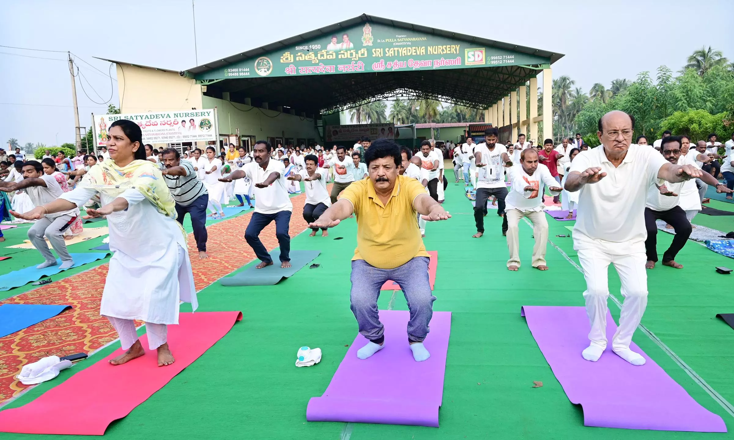 New Mango Varieties Named Yogandhra 11, PSN-5