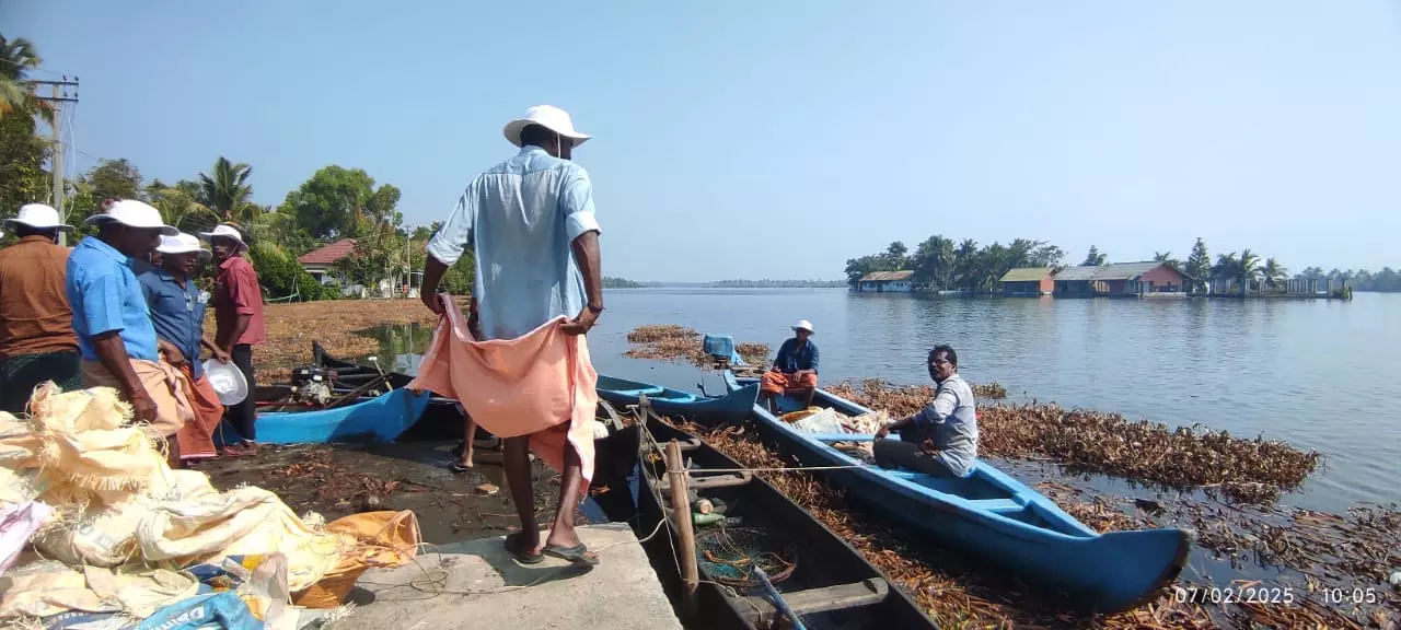 Kerala’s Vembanad Lake Fighting for its Survival Kerala’s Vembanad Lake Fighting for its Survival