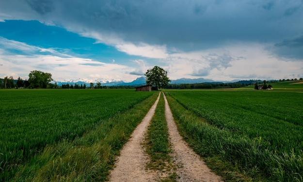 Polam Bata: Gravel Roads Improve Farm Field Access