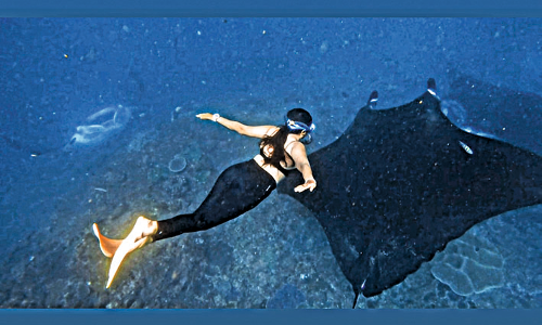 Dive Into The Depths