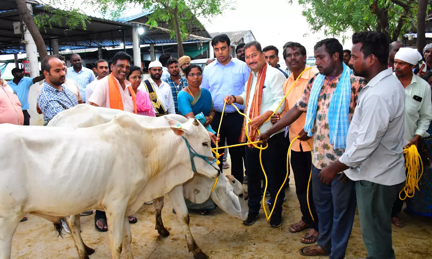 Karimnagar: 100 Pairs Of Bullocks Distributed