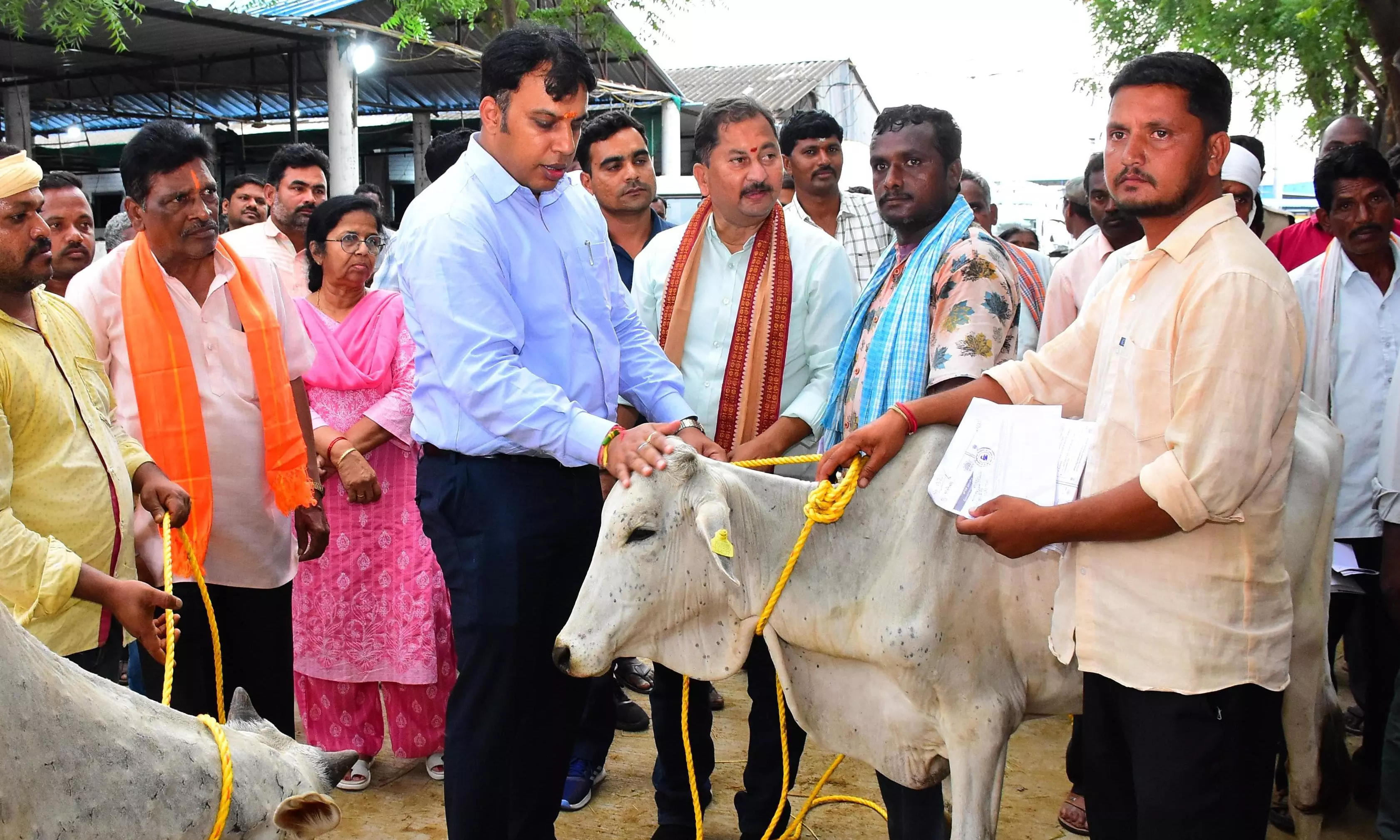 Karimnagar: 100 Pairs Of Bullocks Distributed