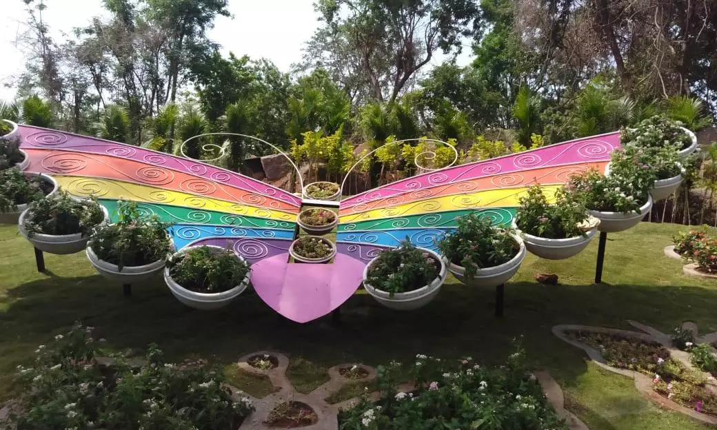 Nehru Zoo Park: Butterfly Park Welcomes Visitors Again