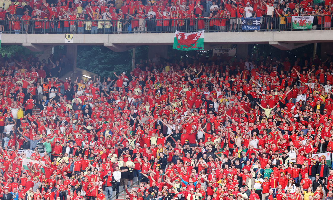 Fan Falls at Belgium-Wales Match; Hospitalized