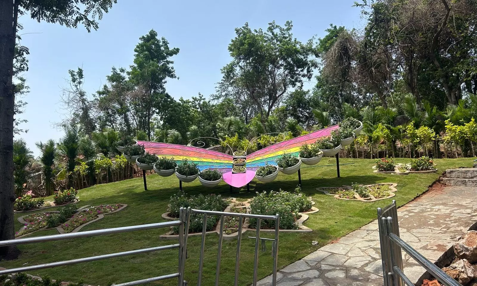 Nehru Zoo Park: Butterfly Park Welcomes Visitors Again