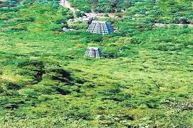 TTD Clears Rs 4 Crore Greening Project