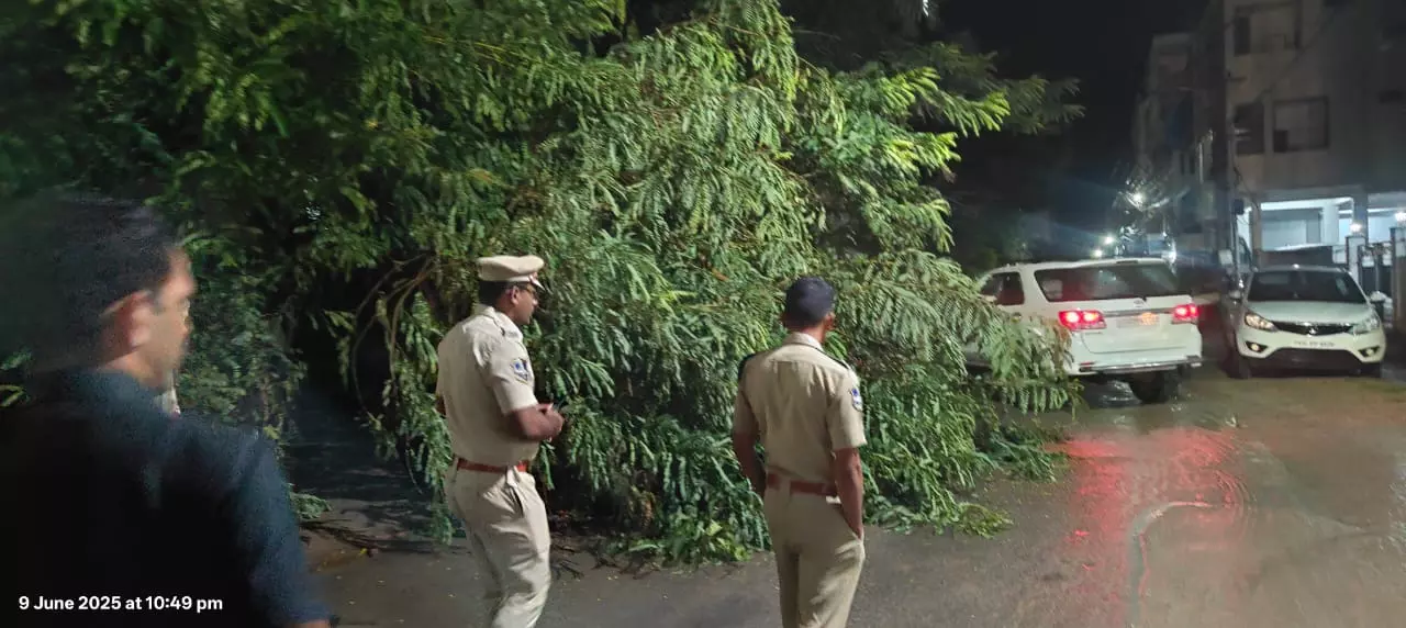 Storms Kill 3, Disrupt Life in North Telangana