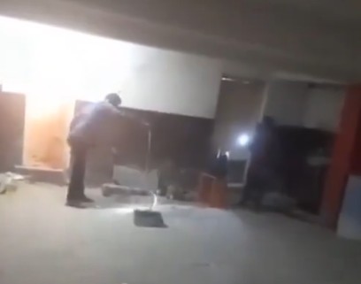Video of Snake Entering Hyderabad Theatre Parking Lot Goes Viral
