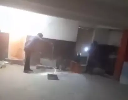 Video Of Snake Entering Parking Lot Of Sandhya Theatre Goes Viral