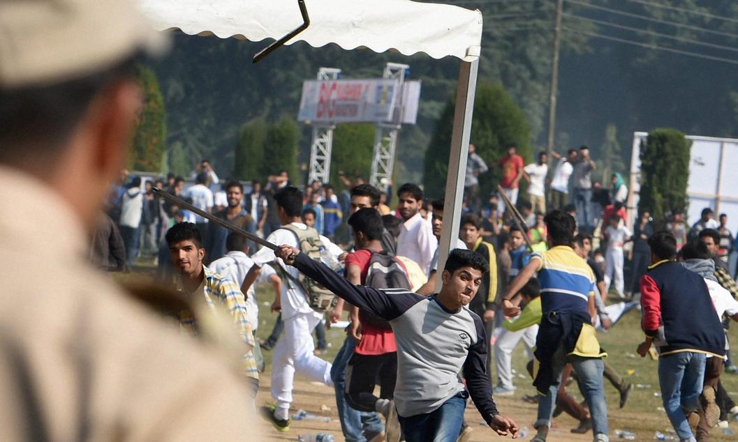 Kashmiri Hindus Advocate for Beef Ban in Valley, Citing Religious Concerns