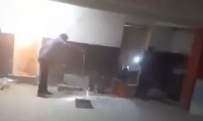 Video Of Snake Entering Parking Lot Of Sandhya Theatre Goes Viral