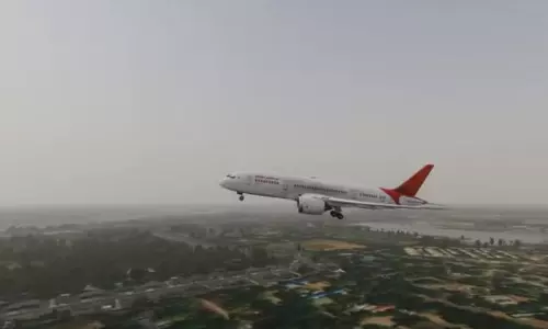 Failure of Both Engines or a Bird Hit Could Have Led to Plane Crash