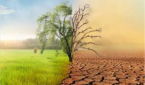 India's Climate Action Plan: Funding, Leadership, and Innovation