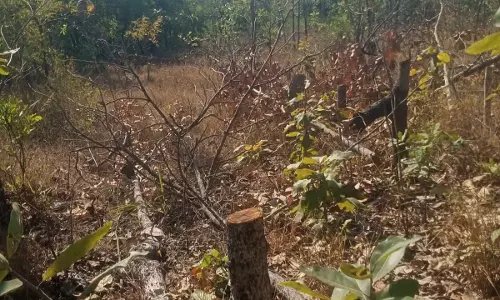 Corruption, Illegal Land Sale Adds A New Dimension To Podu Problem